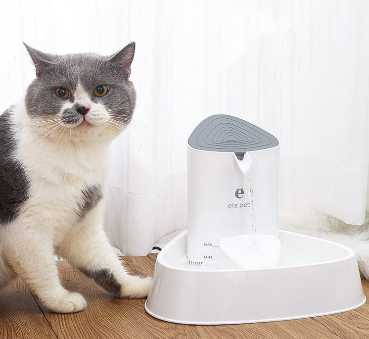 Pet water dispenser