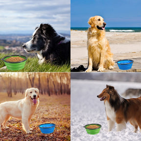  Portable Pet Bowl