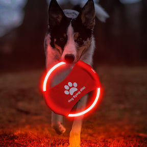 Pet Flying Disk